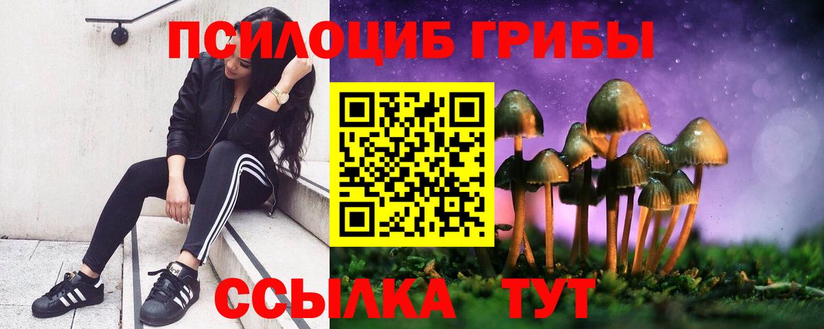 Галлюциногенные грибы прущие грибы  Вход с VPN  Геленджик  Галлюциногенные грибы Cubensis 